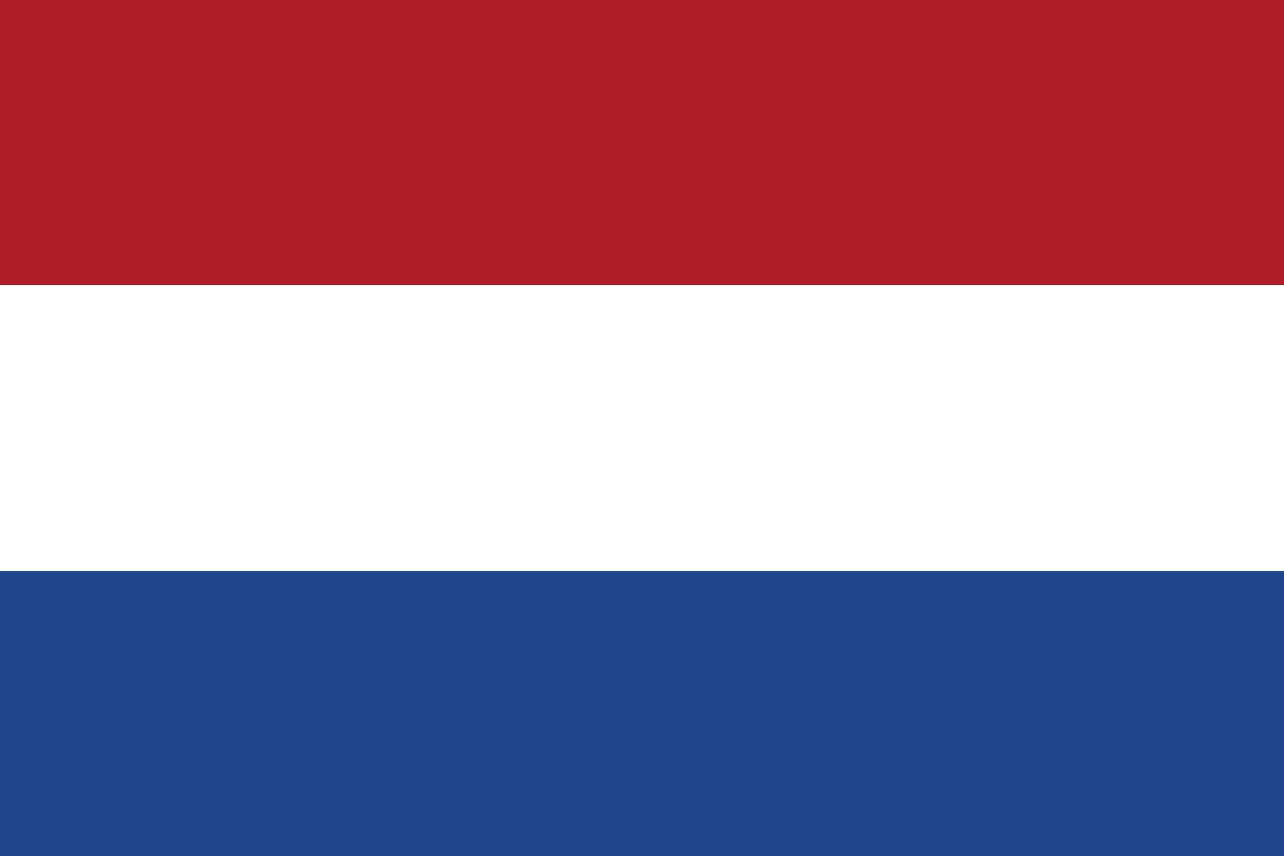 Buket Hollanda Bayrağı