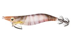 Shimano Clincch Flash Boost Kalamar Zokası 10gr Prawn
