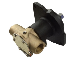 Flanşlı Deniz suyu Pompası 1''