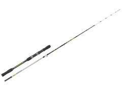 Kali Kunnan Zizari Kamış 80-250gr 180cm