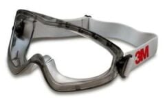 3M 2890A Koruyucu Gözlük