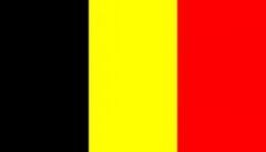 Buket Belçika Bayrağı 30x45cm