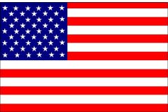 Buket Amerikan Bayrağı
