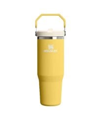 Stanley The IceFlow Flip Straw Pipetli Termos Bardak 0,89lt