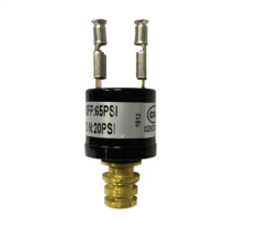 Seaflo Hidrofor Otomatiği 65psi